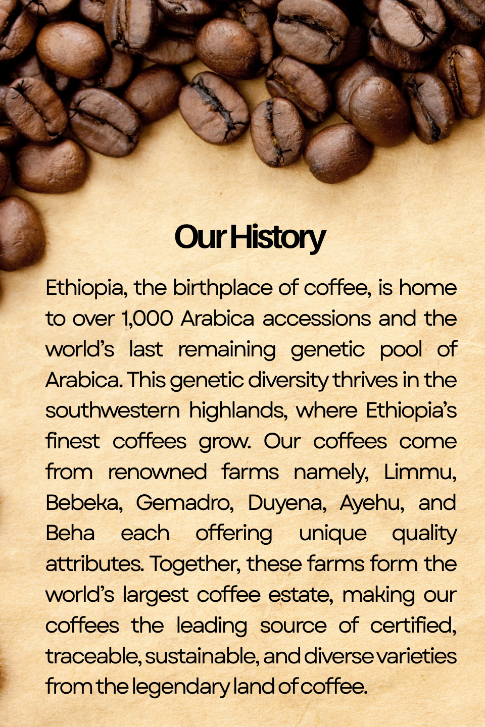 Ethiopian Coffee Beans, 100 % Arabica, Speciality Coffee