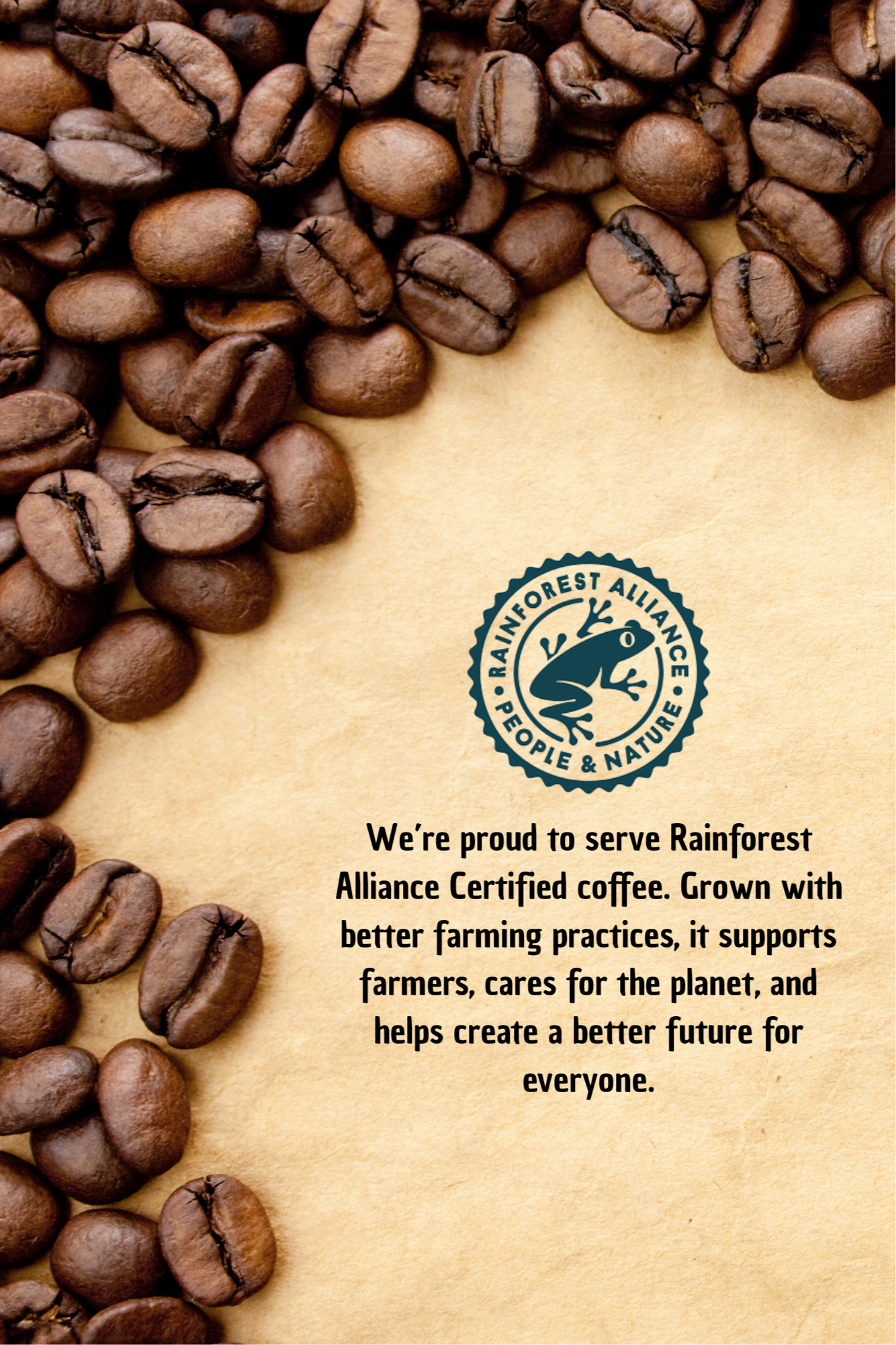 Ethiopian Coffee Beans, 100 % Arabica, Speciality Coffee